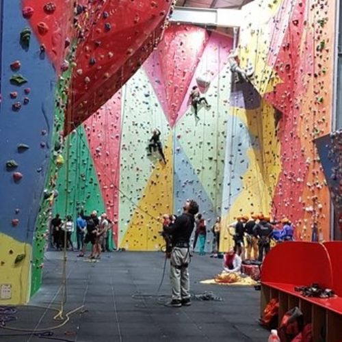 the-climbing-room